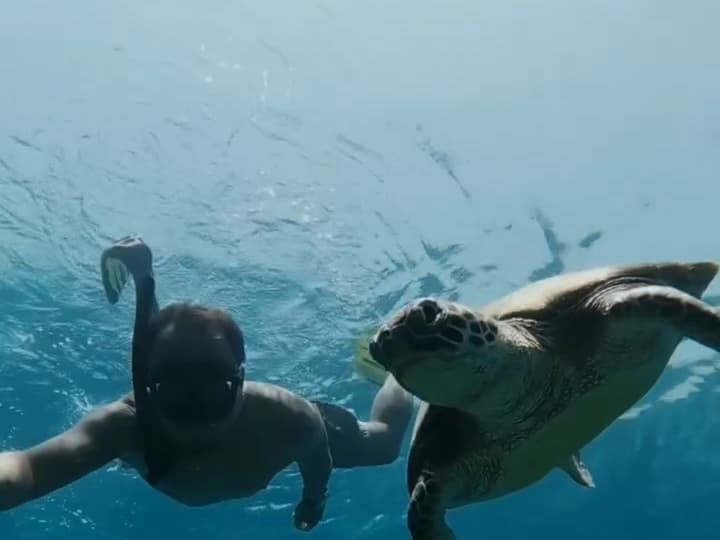 Snorkeller swimming alongside a sea turtle at the Daymaniyat Islands
