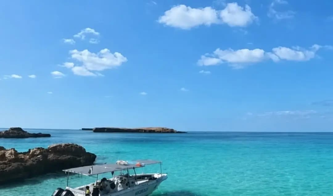 Summer 2026 at the Daymaniyat Islands: The Season in Our Own Pictures